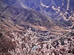 -妙峰山风景名胜区