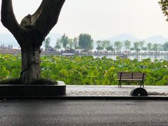 -杭州西湖风景名胜区-北街寻梦
