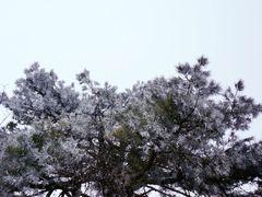-湖州龙王山景区
