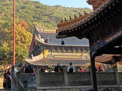 -普陀山风景名胜区-法雨禅寺
