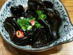 木耳-东方饺子王(创始店)