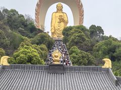 -庐山风景名胜区-东林大佛