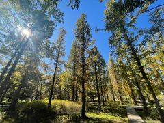 -北京植物园南门售票处