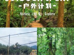 -凤栖山