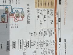 -MEGA BASE 健身馆(南山店)