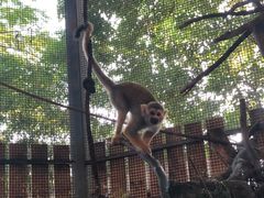 -清迈夜间动物园