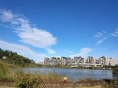 -飞凤山奥体公园