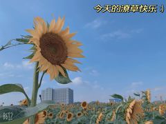 -光明小镇欢乐田园