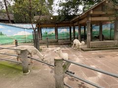 -成都动物园
