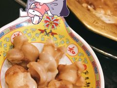 -芦月轩羊蝎子(北蜂窝店)