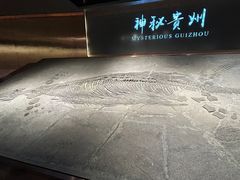-贵州省地质博物馆