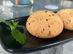 -柴犬高等学院·狗咖·柴犬售卖·宠物训练