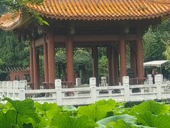 -富乐山