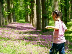 -黄海国家森林公园