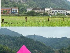 -长沙黑麋峰国家森林公园