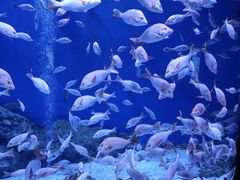 -成都浩海立方海洋公园