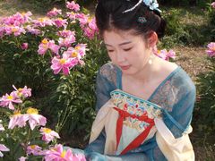 -扬州大运河文化旅游度假区·盆景园