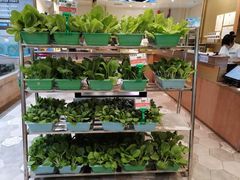 有机蔬菜-阿杜打边炉(五江天街店)