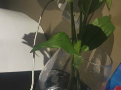 -法兰度西餐厅(新会店)