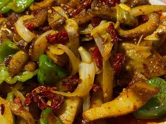 -柴窝堡22号辣子鸡·传承新疆菜