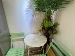 露天位-津椰本·海南正宗椰奶清补凉(店一店)