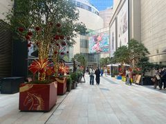 -港汇恒隆广场