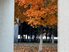 -长春世界雕塑园冰雪艺术天地