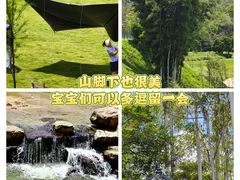 -黄埔油麻山森林公园