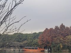 -苏州太湖国家湿地公园