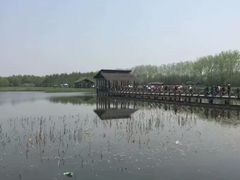 -溱湖国家湿地公园