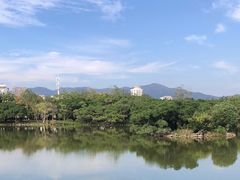 -江心屿景区