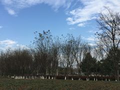 -白塘生态植物园