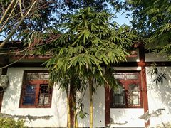 景点-望江楼公园