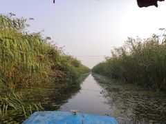 -白洋淀景区