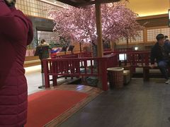 -大江户·温泉洗浴(浑南店)