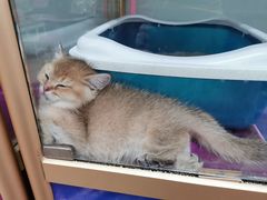 -乐宠宠物店(世纪金源店)