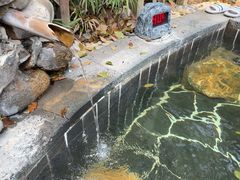 -明月山天沐温泉度假村