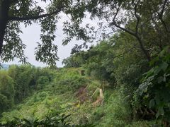 -天目湖涵田半山温泉