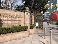 -中国福利会少年宫