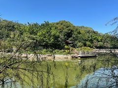 -广州市帽峰山景区