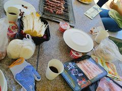 -吴淞炮台湾湿地森林公园烧烤区