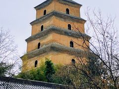 -大慈恩寺(大雁塔)
