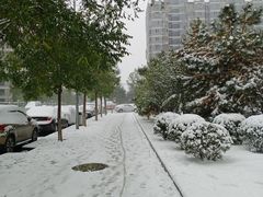 -北门涮肉·炭火铜锅涮肉(什刹海店)