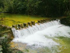 -九龙江国家森林公园