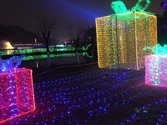 -飞凤山奥体公园