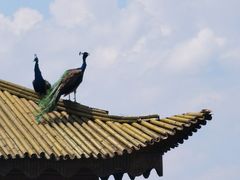 -万佛湖风景区