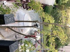 -上海崇明金茂凯悦酒店