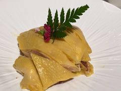 -新白鹿餐厅(第一百货店)
