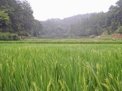 -韶山毛泽东同志故居