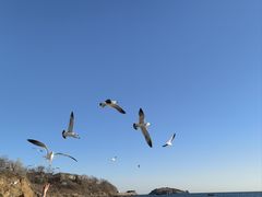 -银沙滩浴场